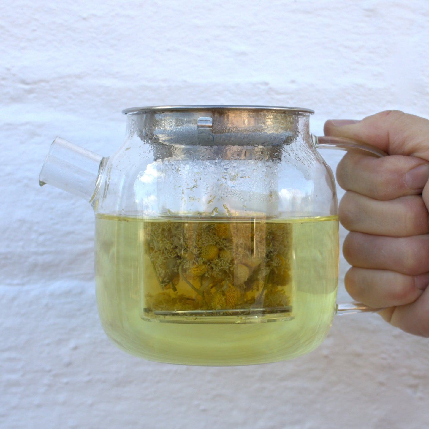 Pure Camomile Tea
